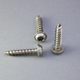 Pan Head Washer (Torx) PT Thread Forming Screw